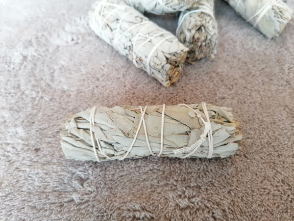 Sauge Blanche - Fagot